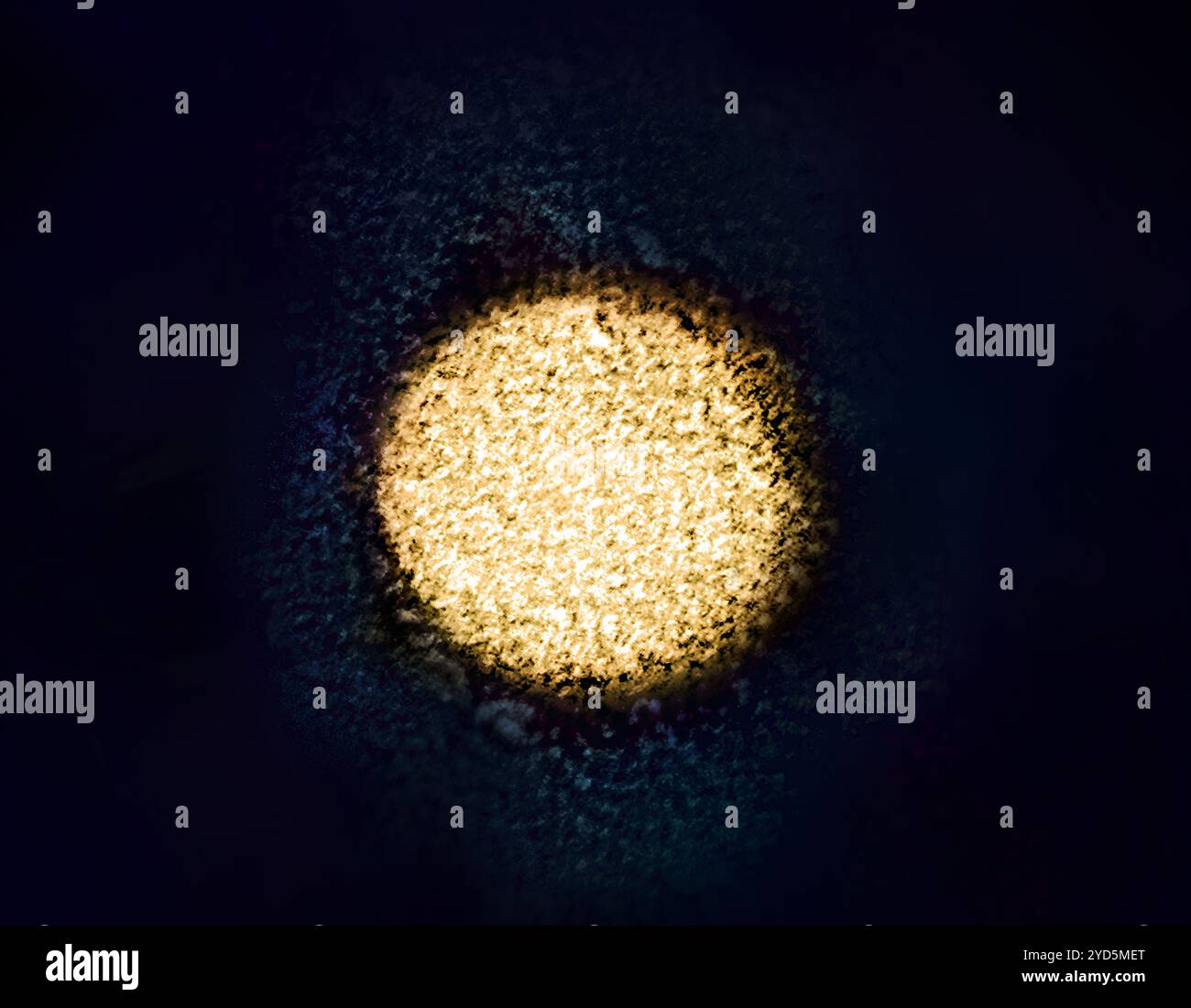 Micrografia elettronica a trasmissione colorata di un virion dell'epatite C. Foto Stock