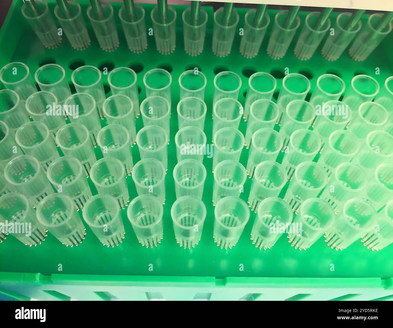 Puntali per pipette. Foto Stock