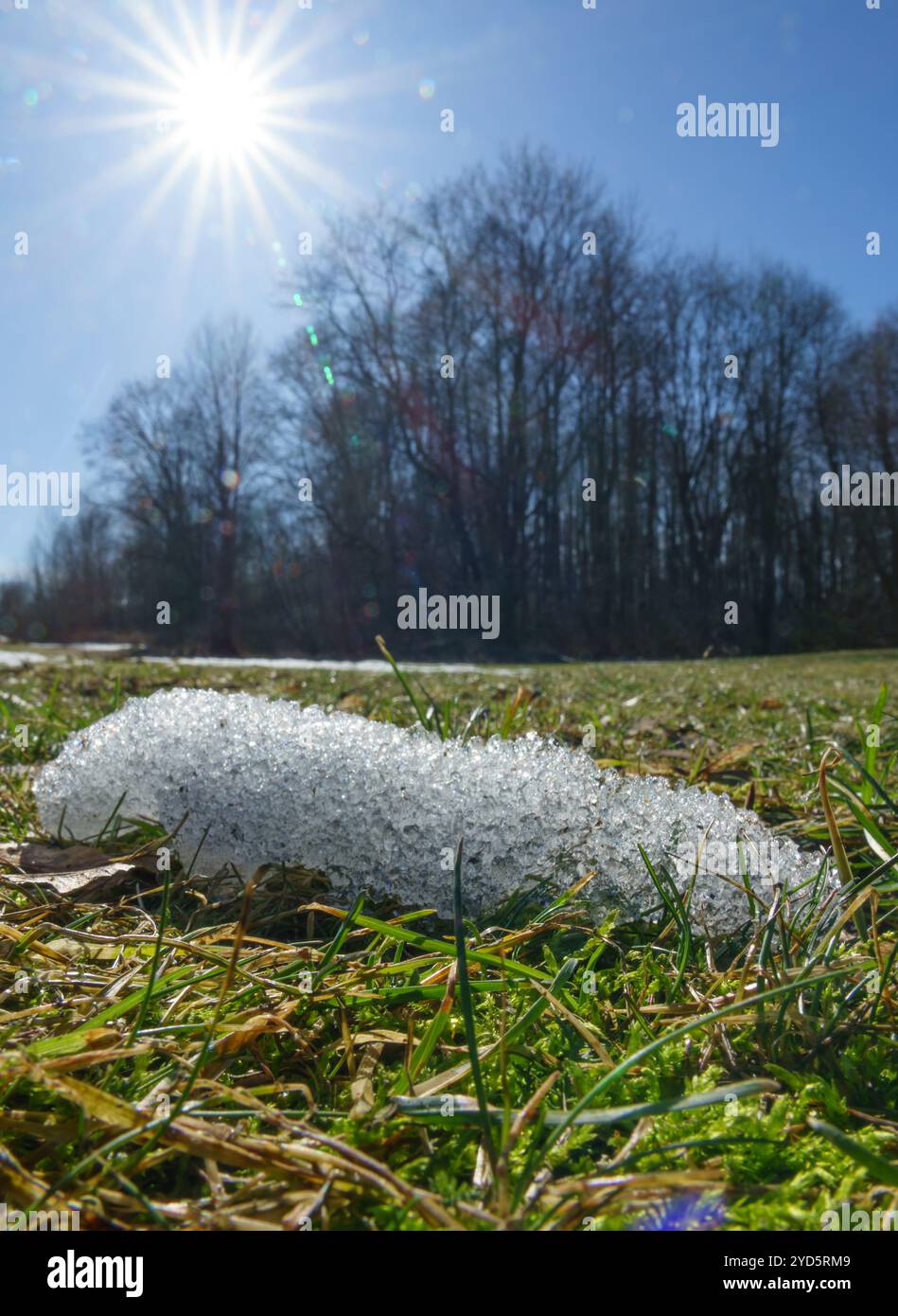 Il sole primaverile scioglie la neve, l'inizio della primavera Foto Stock