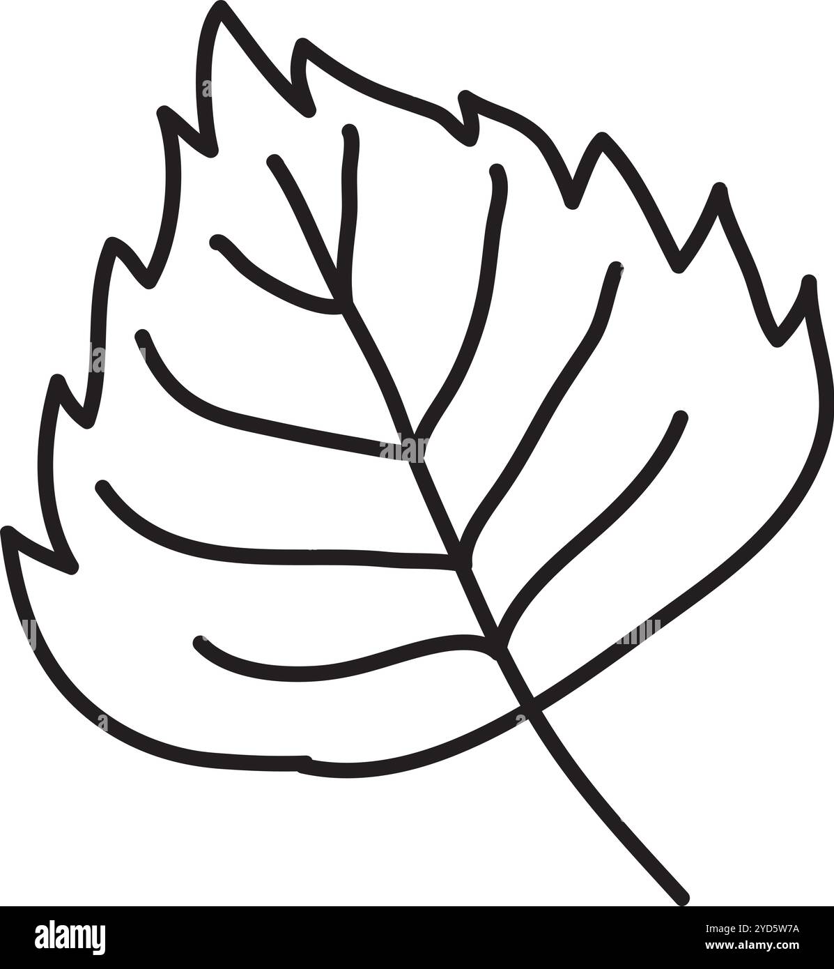 Foglia rotonda con venature e bordi affilati, disegnata a mano con pennello nero, sfondo bianco, facile da modificare, cartone animato Illustrazione Vettoriale