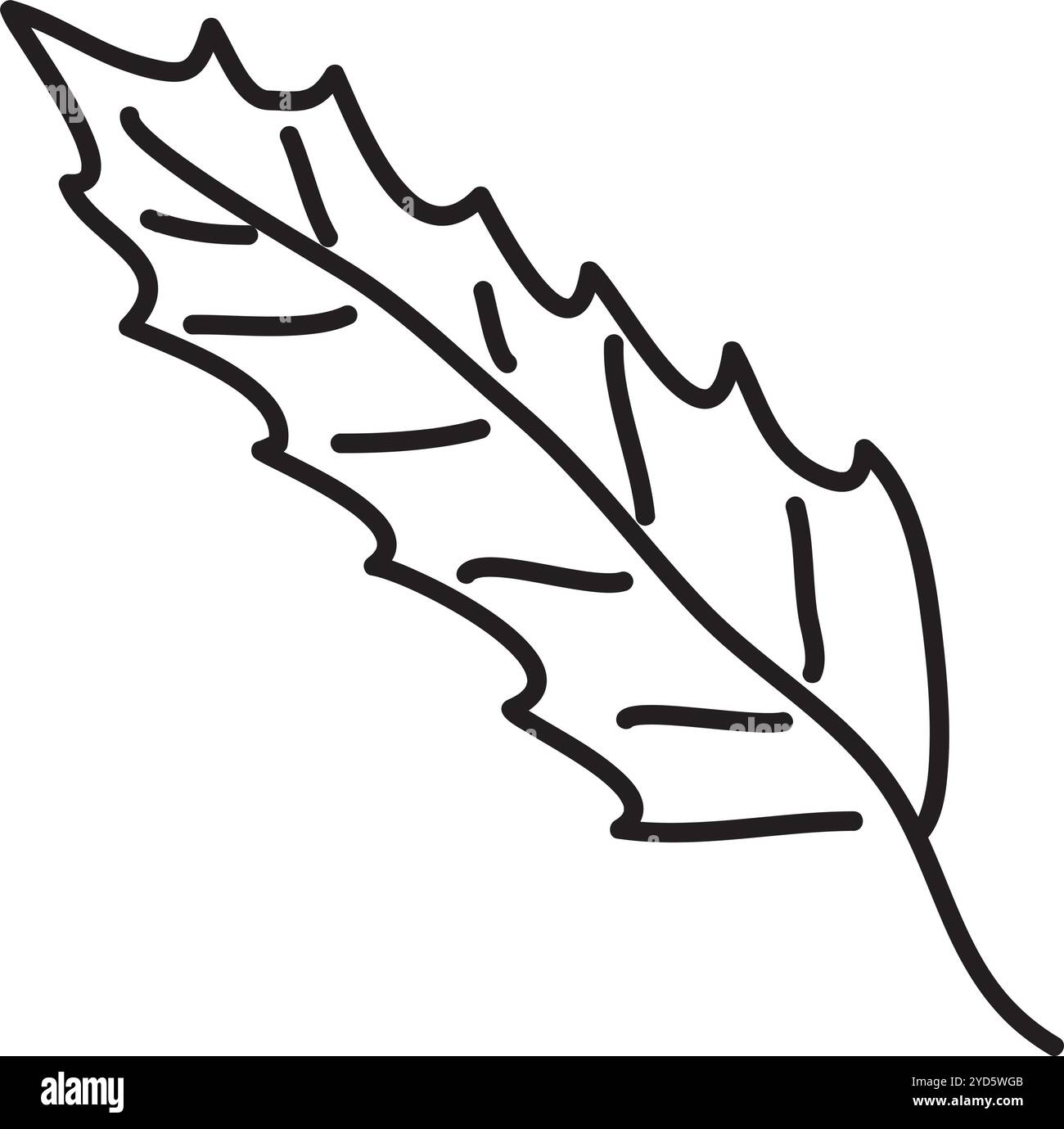 foglia lunga con venature e bordi affilati, disegnata a mano con pennello nero, sfondo bianco, facile da modificare, cartone animato Illustrazione Vettoriale
