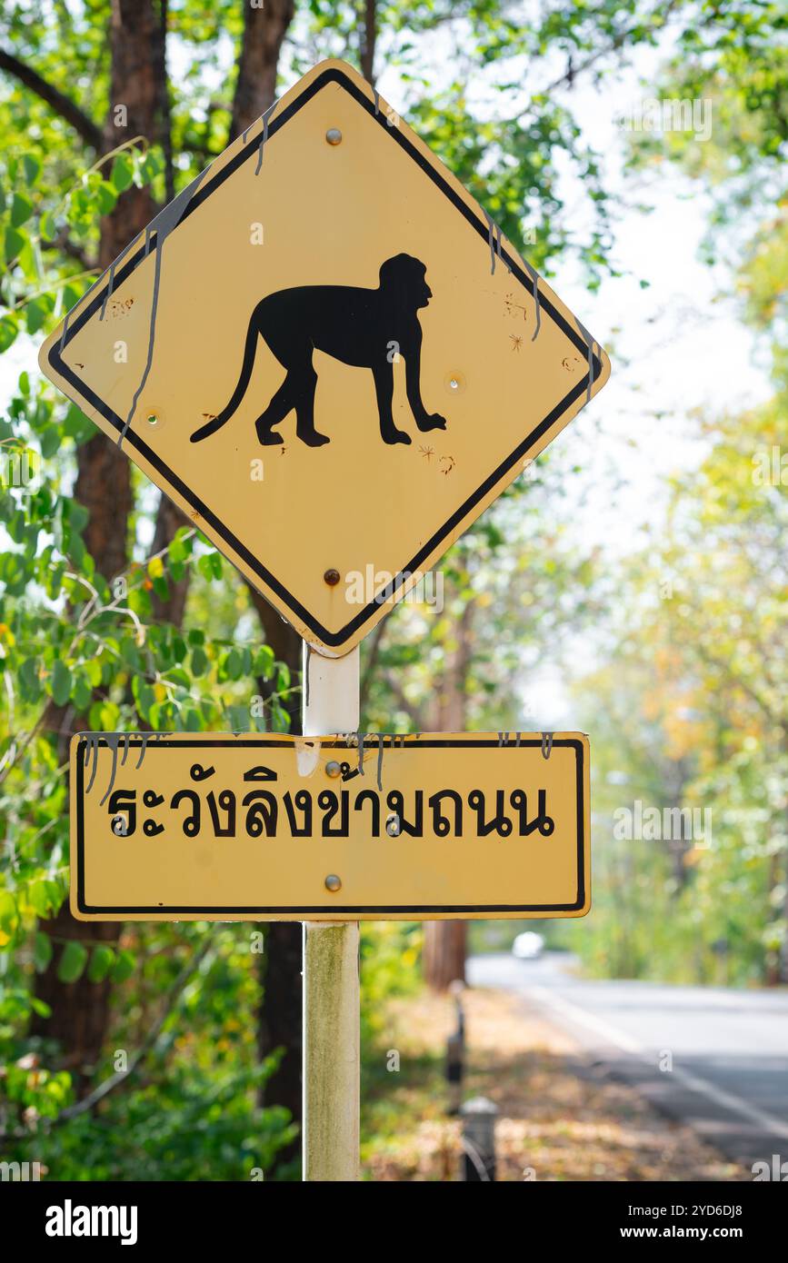Monkey Road sospiro lingua tailandese: Attenzione alle scimmie che attraversano la strada testo Thailandia Foto Stock