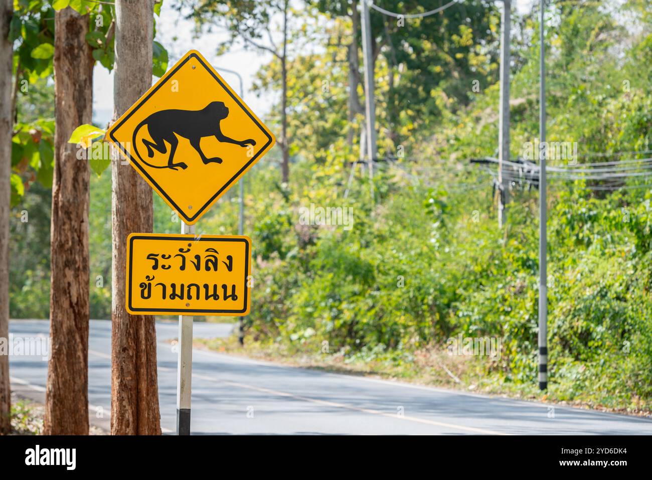 Monkey Road sospiro lingua tailandese: Attenzione alle scimmie che attraversano il testo della strada in Thailandia Foto Stock