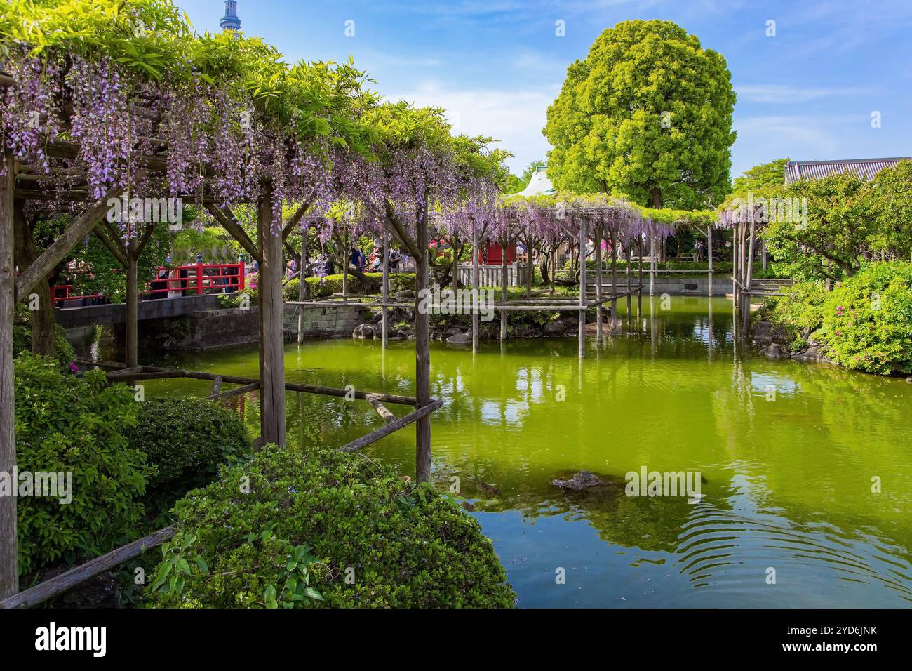 Laghetti pittoreschi e glicine Foto Stock