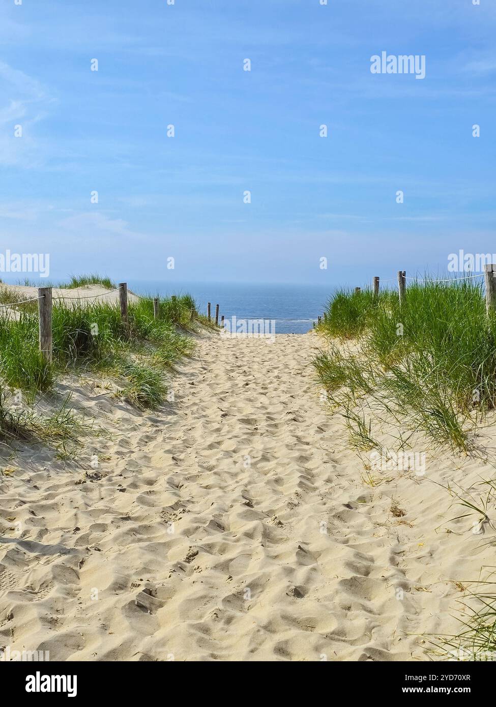 Un sentiero sereno si snoda attraverso lussureggianti prati verdi verso la spiaggia sabbiosa, invitando all'esplorazione e al relax Foto Stock