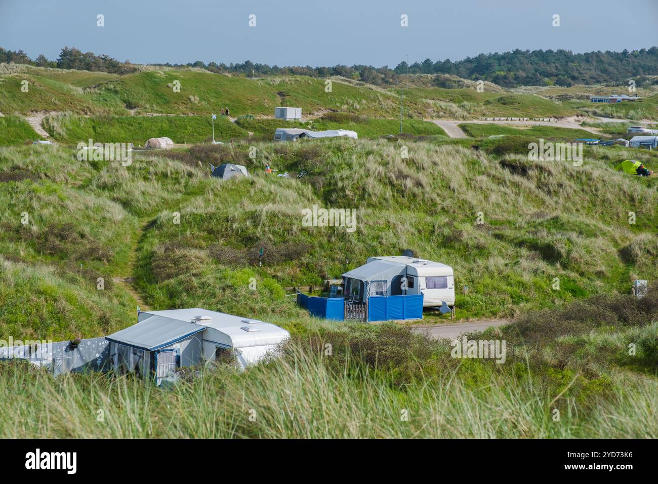 Una vista panoramica di diversi veicoli ricreativi parcheggiati in una lussureggiante area erbosa, che si fonde armoniosamente con la natura a Texel, Nether Foto Stock