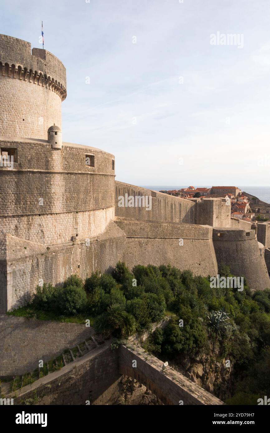 La parete ovest delle mura della città si estende dalla Torre Minčeta, la fortezza più alta delle mura difensive, oltre la torre dell'angolo superiore verso il forte Bokar. Dubrovnik. Croazia. (138) Foto Stock