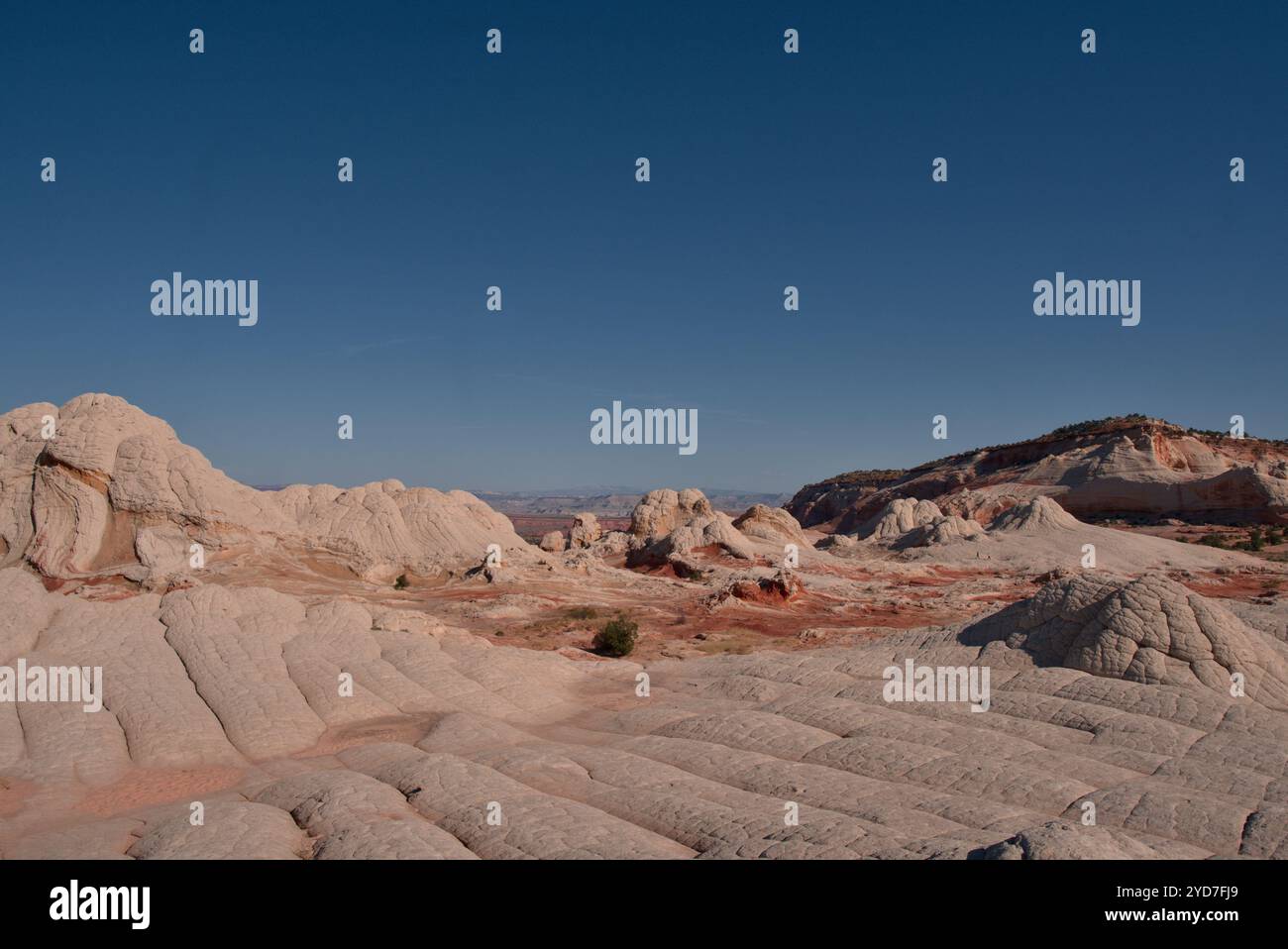Vista delle formazioni di White Pocket Foto Stock
