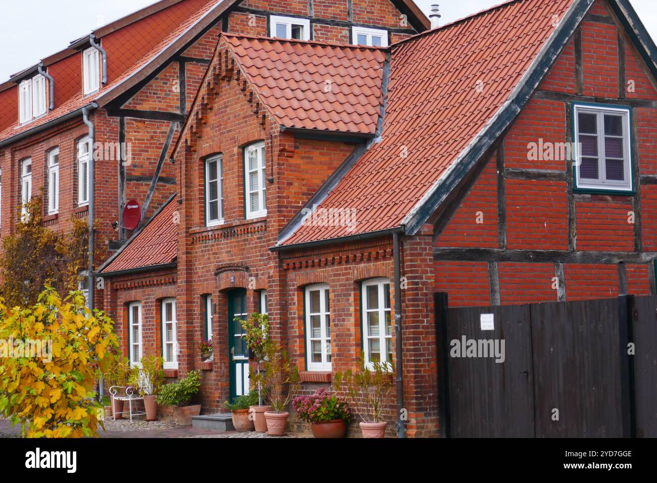 Boizenburg/Elba in autunno, Germania Foto Stock