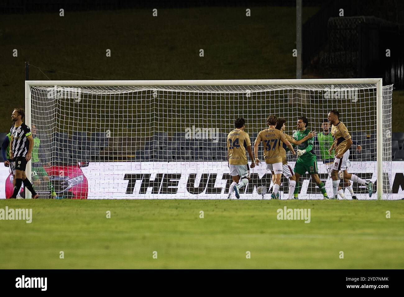 25 ottobre 2024; Campbelltown Stadium, Sydney, NSW, Australia: A-League Football, MacArthur FC contro Newcastle Jets; i giocatori dei Newcastle Jets si congratulano con Ryan Scott dei Newcastle Jets per aver fatto un calcio di rigore Foto Stock