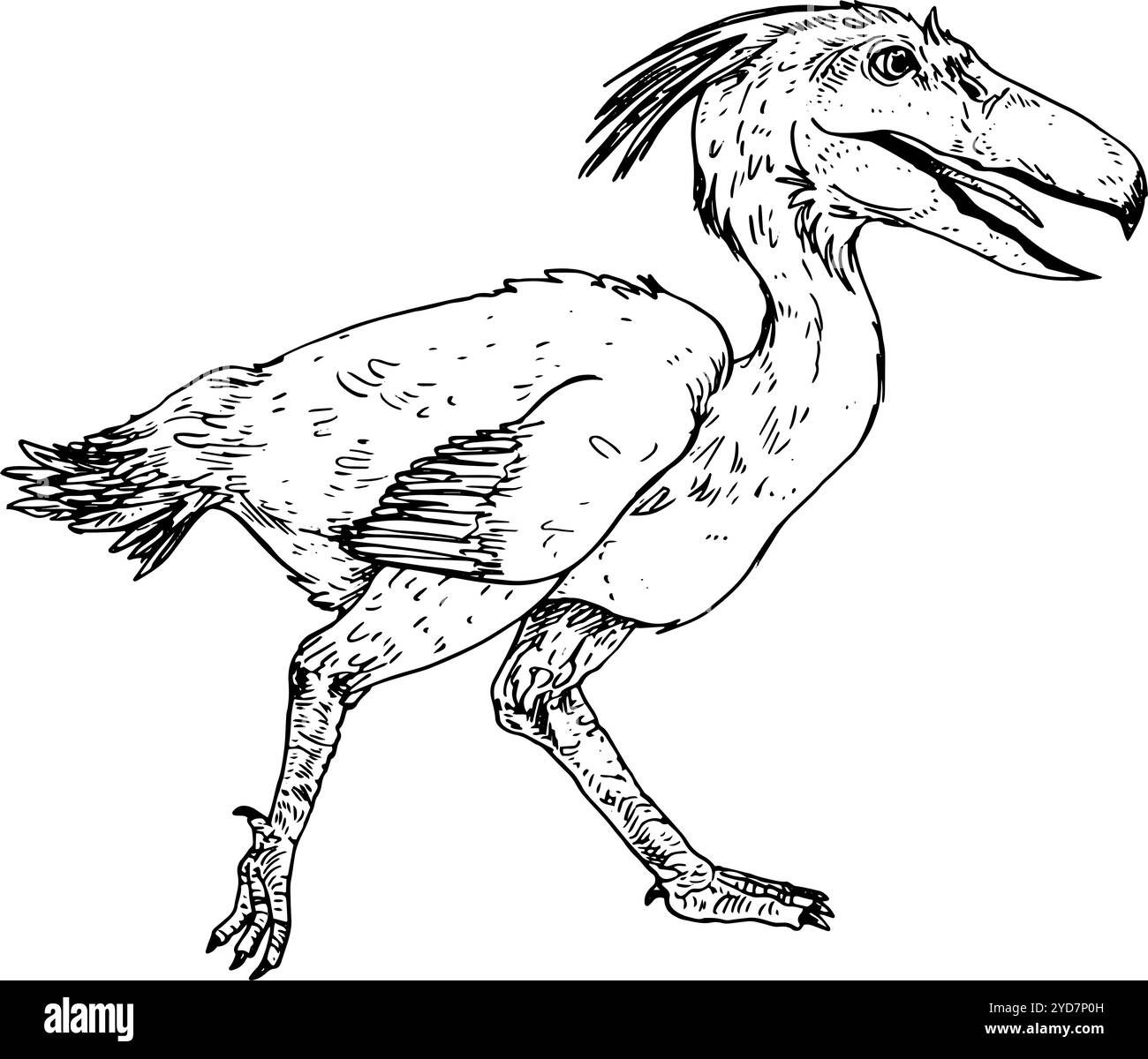 Uccello terrore - illustrazione disegnata a mano di animali estinti | realistica, dettagliata in bianco e nero, ispirata a stili vintage Foto Stock