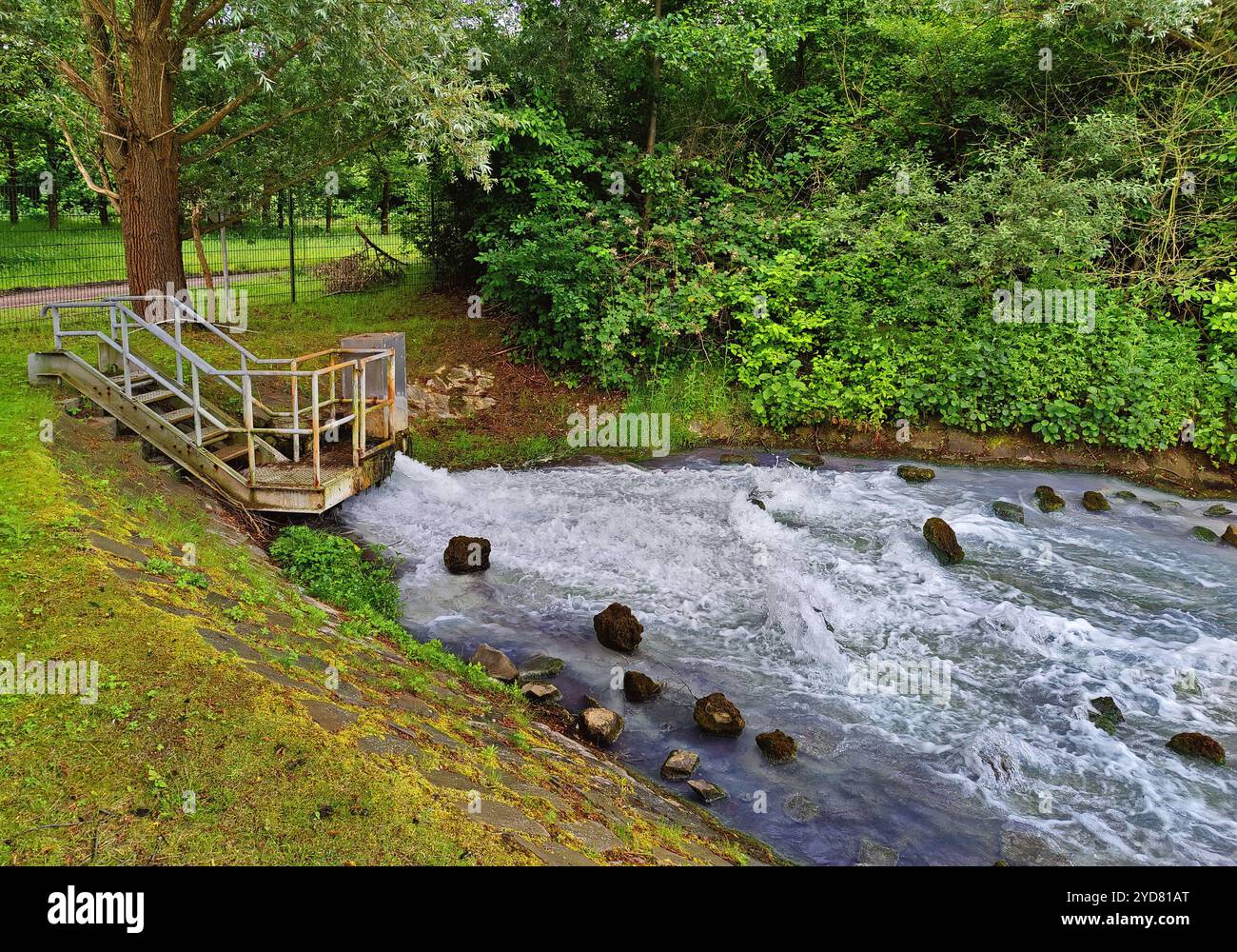 Harpener Teiche, afflusso di acque minerarie ricche di minerali, Bochum, regione della Ruhr, Germania, Europa Foto Stock