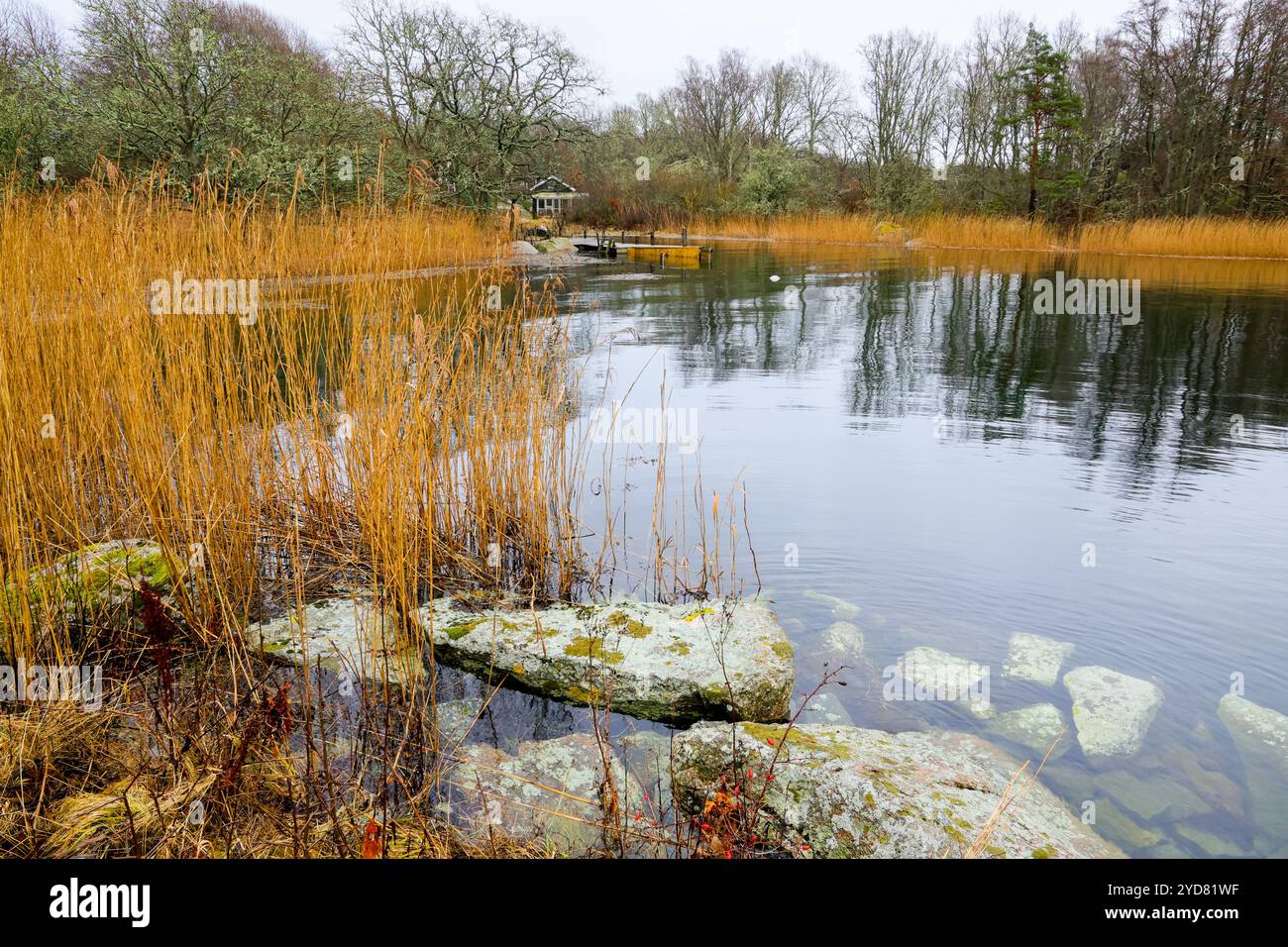 Un lago svedese in autunno Foto Stock