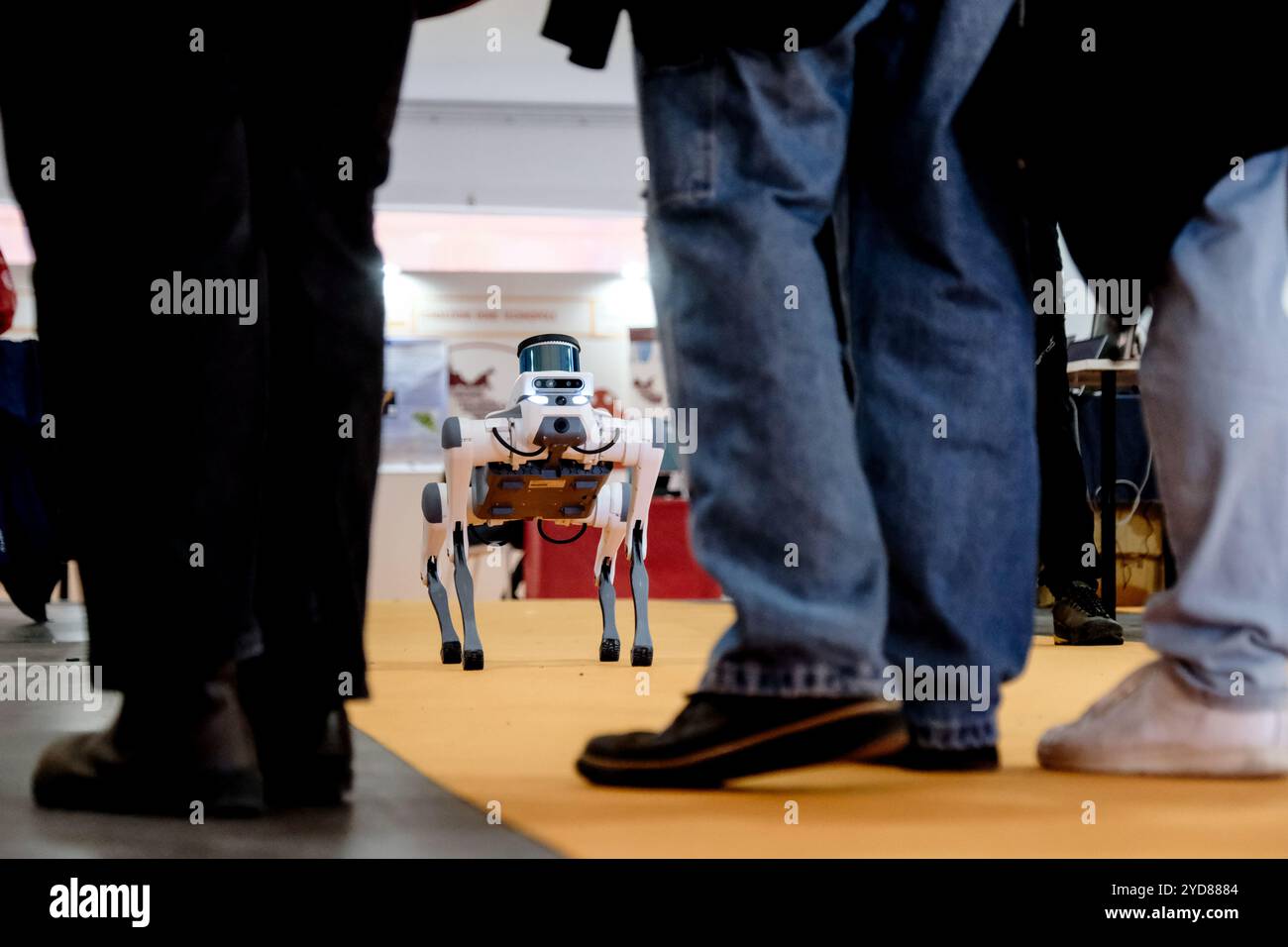 XII edizione Maker Faire Rome manifestazione degli innovatori e creativi di tutto il mondo con progetti di elettronica, intelligenza artificiale, robotica, realt&#xe0; virtuale e aumentata. Area Gazometro Ostiense a Roma Venerd&#xec; 25 ottobre 2024 (foto Mauro Scrobogna/LaPresse) XII edizione Maker Faire Roma evento di innovatori e creativi da tutto il mondo con progetti in elettronica, intelligenza artificiale, robotica, realtà virtuale e aumentata. Area Gazometro Ostiense a Roma venerdì 25 ottobre 2024. (Foto di Mauro Scrobogna/LaPresse) Foto Stock