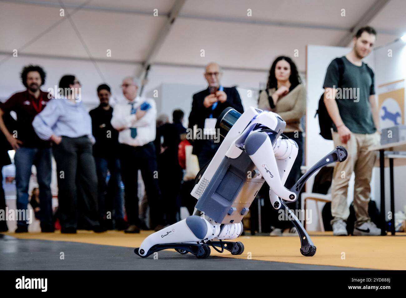 XII edizione Maker Faire Rome manifestazione degli innovatori e creativi di tutto il mondo con progetti di elettronica, intelligenza artificiale, robotica, realt&#xe0; virtuale e aumentata. Area Gazometro Ostiense a Roma Venerd&#xec; 25 ottobre 2024 (foto Mauro Scrobogna/LaPresse) XII edizione Maker Faire Roma evento di innovatori e creativi da tutto il mondo con progetti in elettronica, intelligenza artificiale, robotica, realtà virtuale e aumentata. Area Gazometro Ostiense a Roma venerdì 25 ottobre 2024. (Foto di Mauro Scrobogna/LaPresse) Foto Stock