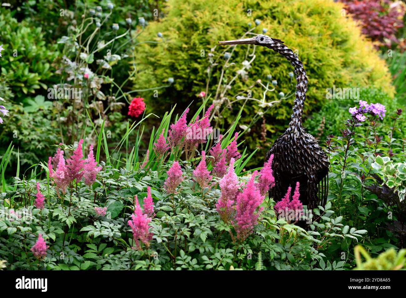 Fiori di astilbe rosa, scultura del giardino in metallo di airone grigio, caratteristica giardino di airone grigio, ornamento di airone, giardini, giardinaggio, RM Floral Foto Stock
