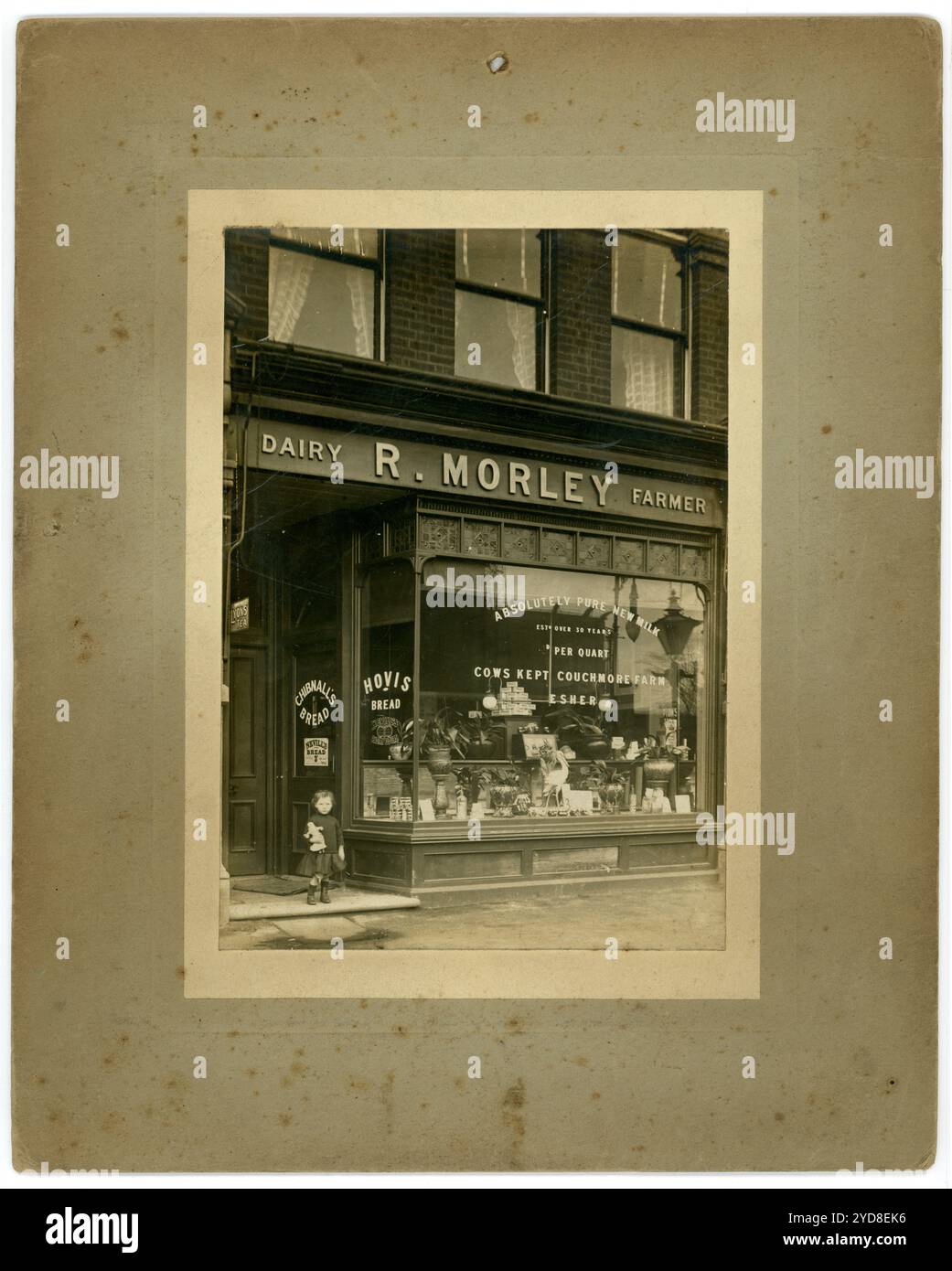 Bambina dell'era della prima Guerra Mondiale in piedi fuori in un negozio. R Morley, Dairy Farmer e' il segno del negozio. I locali del negozio di prodotti caseari erano su Richmond Road, Kingston, Surrey. Il cartello della finestra dello spettacolo dice mucche mantenevano la fattoria Couchmore, Esher. Vende tè Lipton, pane Chibnalls e Hovis, burro. Circa 1913, Regno Unito Foto Stock