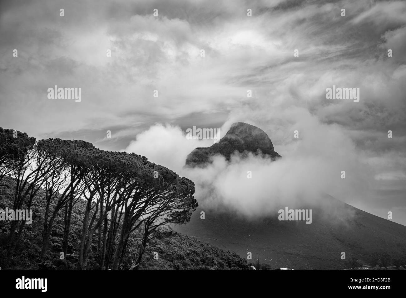 Le nuvole che avvolgono la vetta dei leoni a Table Mountain, a città del Capo Foto Stock