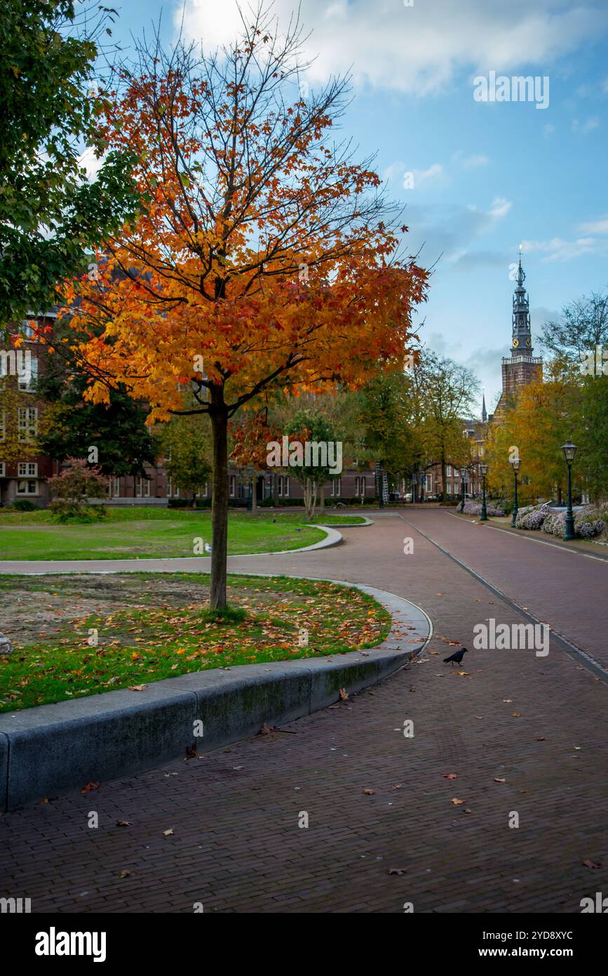 Un vibrante albero autunnale con foglie di arancio ardente sorge accanto a un tortuoso sentiero in mattoni che conduce a una storica torre dell'orologio e al campus universitario di Foto Stock