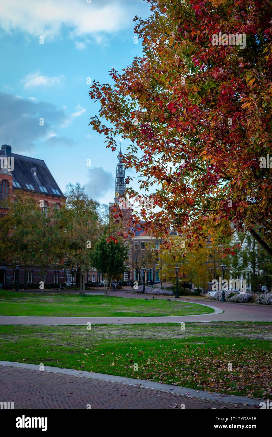 Un vibrante albero autunnale con foglie di arancio ardente sorge accanto a un tortuoso sentiero in mattoni che conduce a una storica torre dell'orologio e al campus universitario di Foto Stock