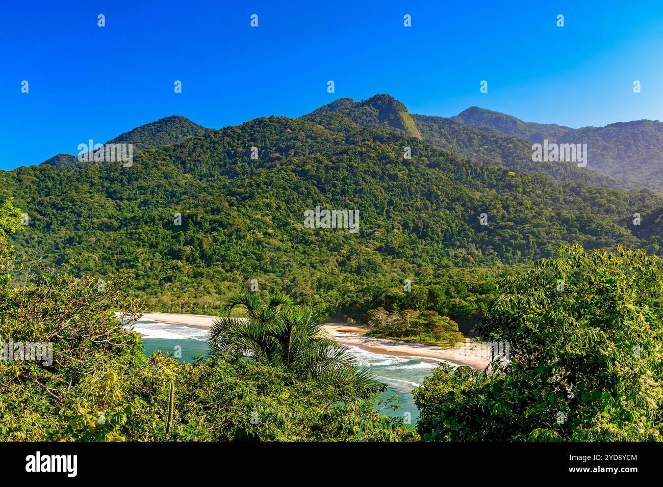 Spiaggia di Bonete, mare e foresta Foto Stock
