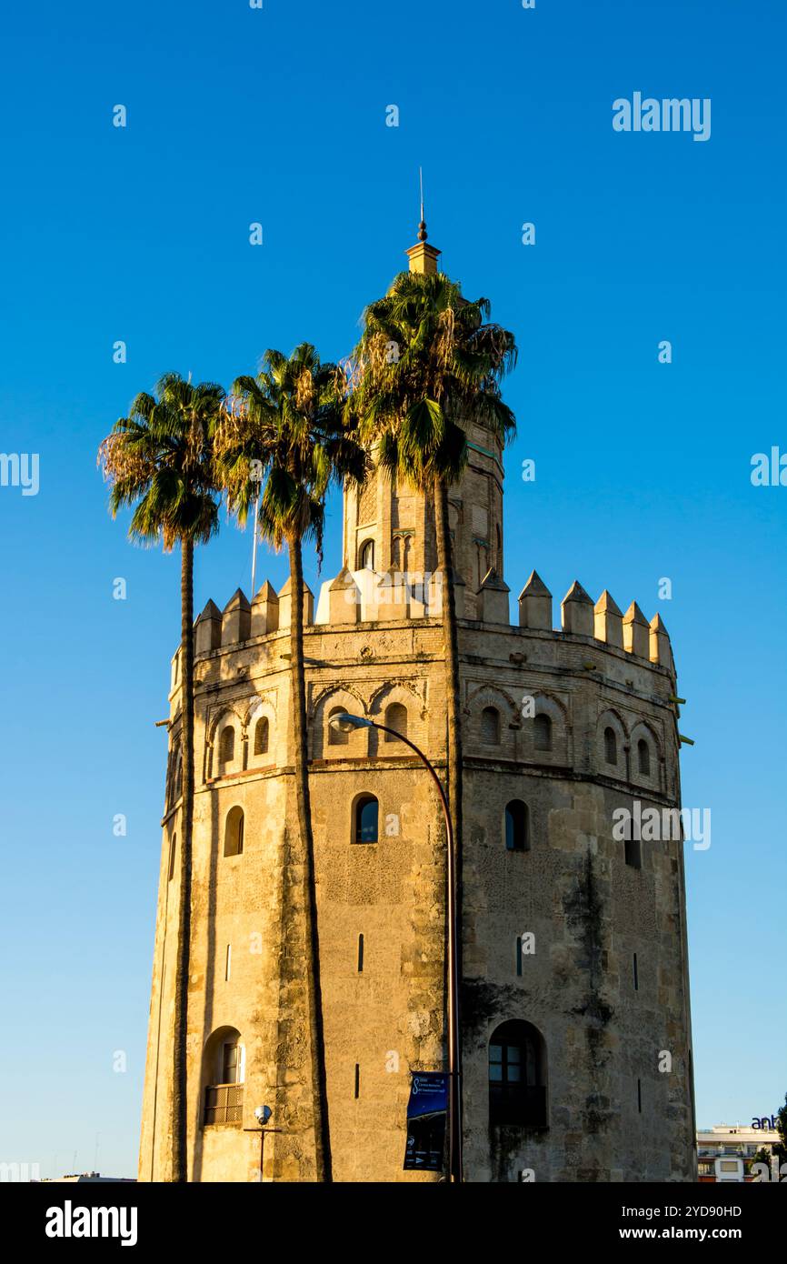 Torre del Oro Torre del Medioevo, Siviglia, Andalusia, Spagna. Foto Stock