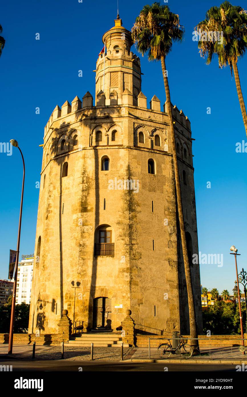 Torre del Oro Torre del Medioevo, Siviglia, Andalusia, Spagna. Foto Stock