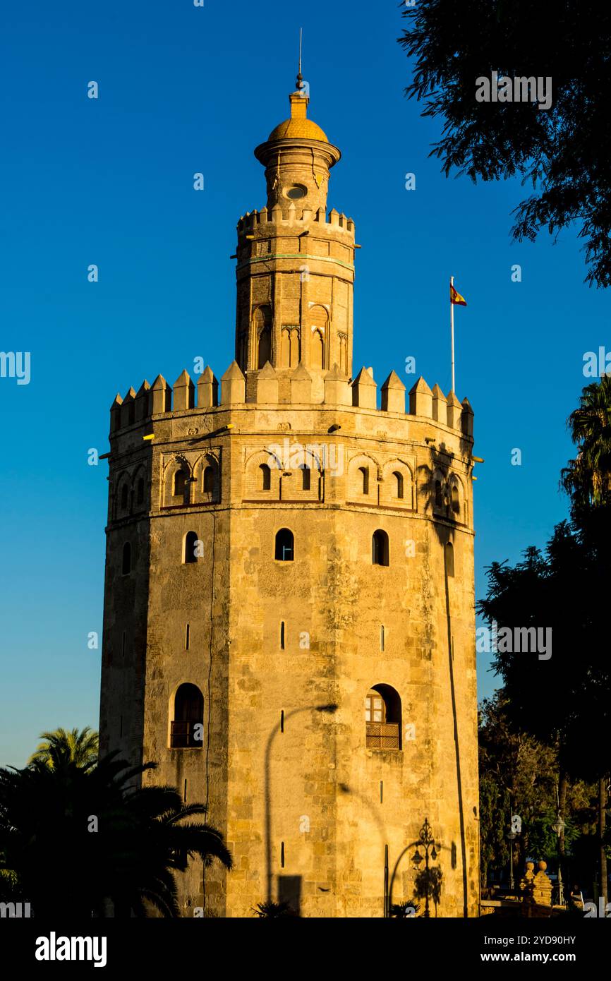 Torre del Oro Torre del Medioevo, Siviglia, Andalusia, Spagna. Foto Stock
