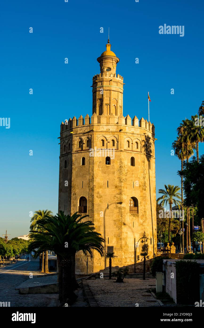 Torre del Oro Torre del Medioevo, Siviglia, Andalusia, Spagna. Foto Stock