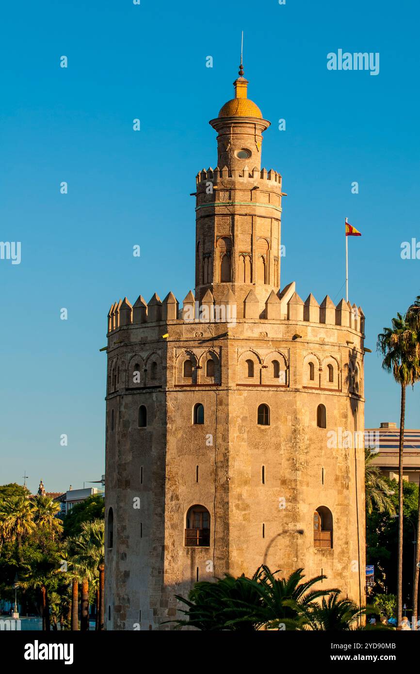 Torre del Oro Torre del Medioevo, Siviglia, Andalusia, Spagna. Foto Stock