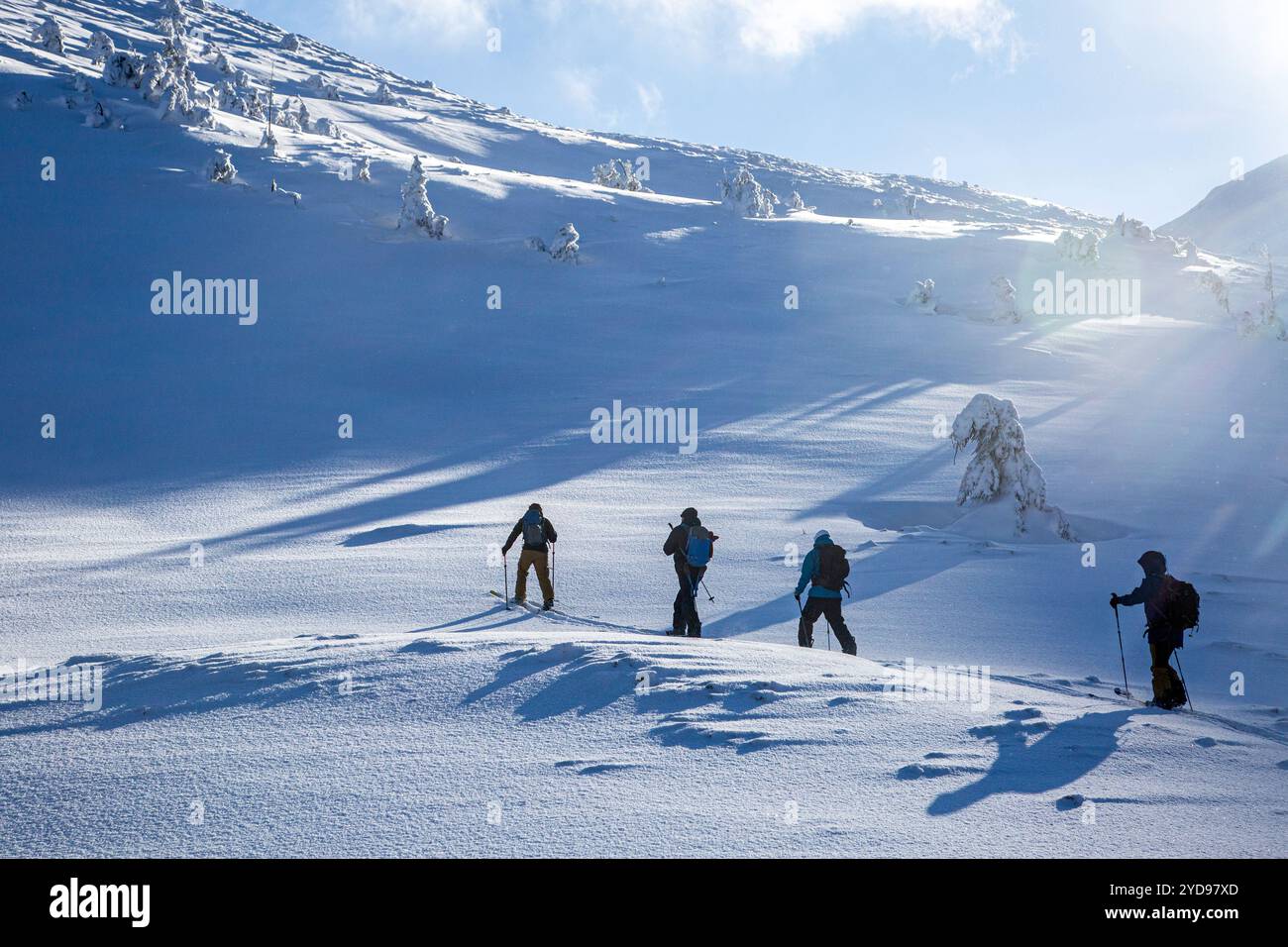 Gli scialpinisti spingono attraverso la neve incontaminata delle montagne, puntando alla vetta alla luce del mattino presto Foto Stock