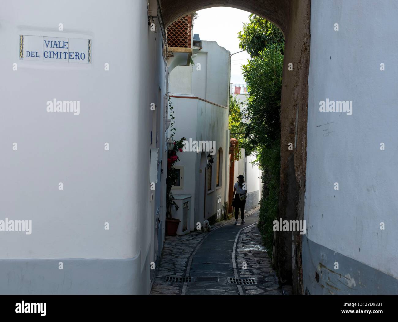 Case bianche in Viale del Cimitero, Anacapri, Isola di Capri, Campania, Italia. Foto Stock