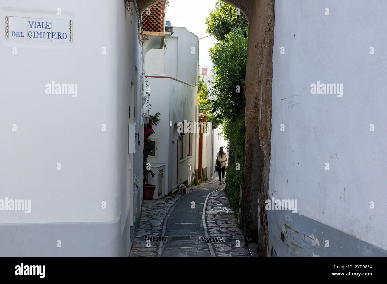 Case bianche in Viale del Cimitero, Anacapri, Isola di Capri, Campania, Italia. Foto Stock