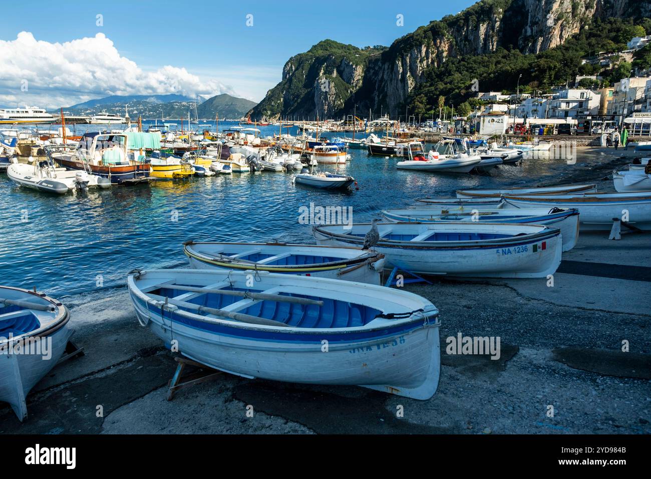 Marina grande Isola di Capri, Campania, Italia Foto Stock
