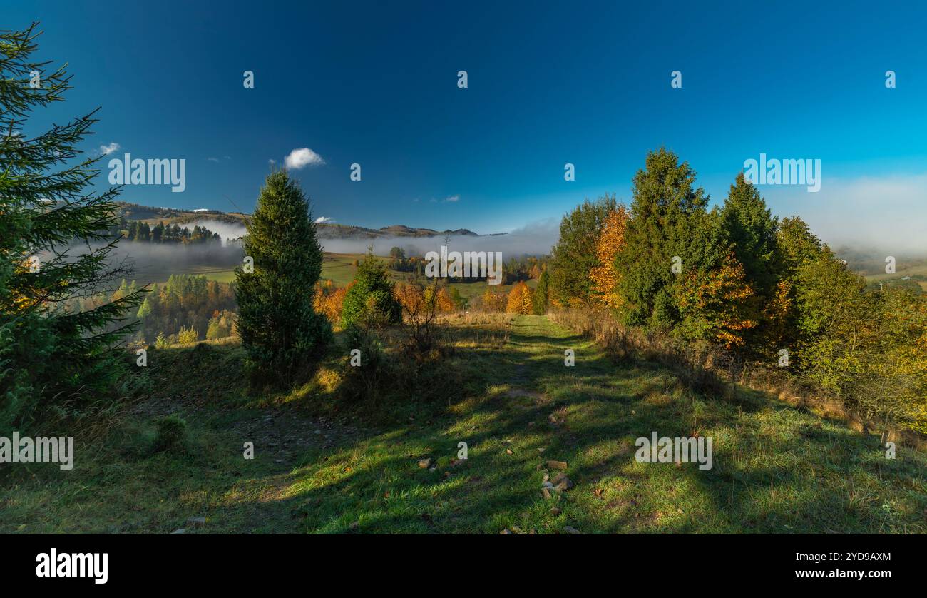 Bei prati autunnali e valli nebbiose vicino ai cottage di montagna vicino al villaggio di Jaworki Foto Stock