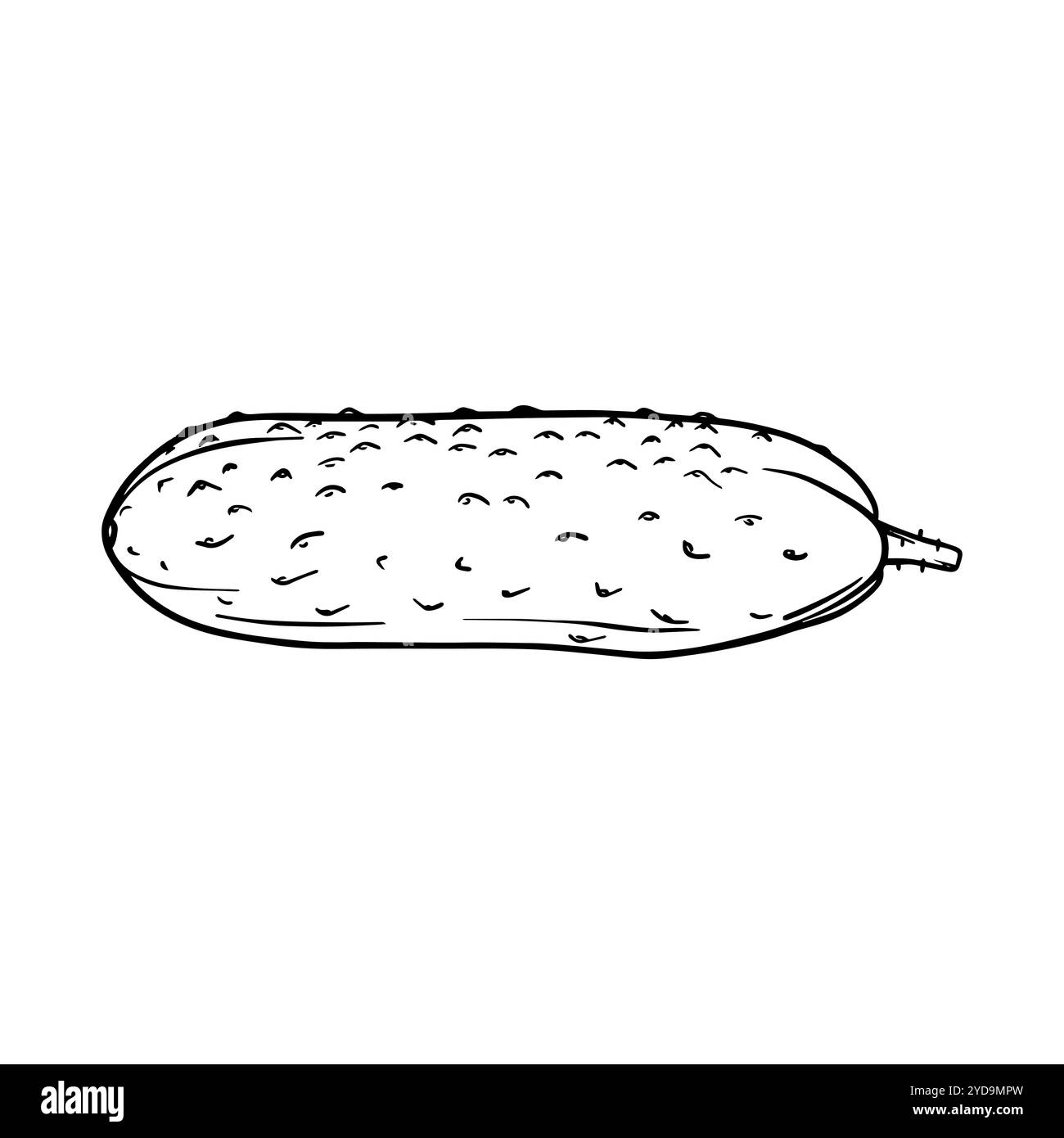 Illustrazione dello schizzo del cetriolo. Incisione a mano di verdure fresche. Disegno di cibo vegetariano dipinto da inchiostri neri. Icona contorno cibo sano Illustrazione Vettoriale