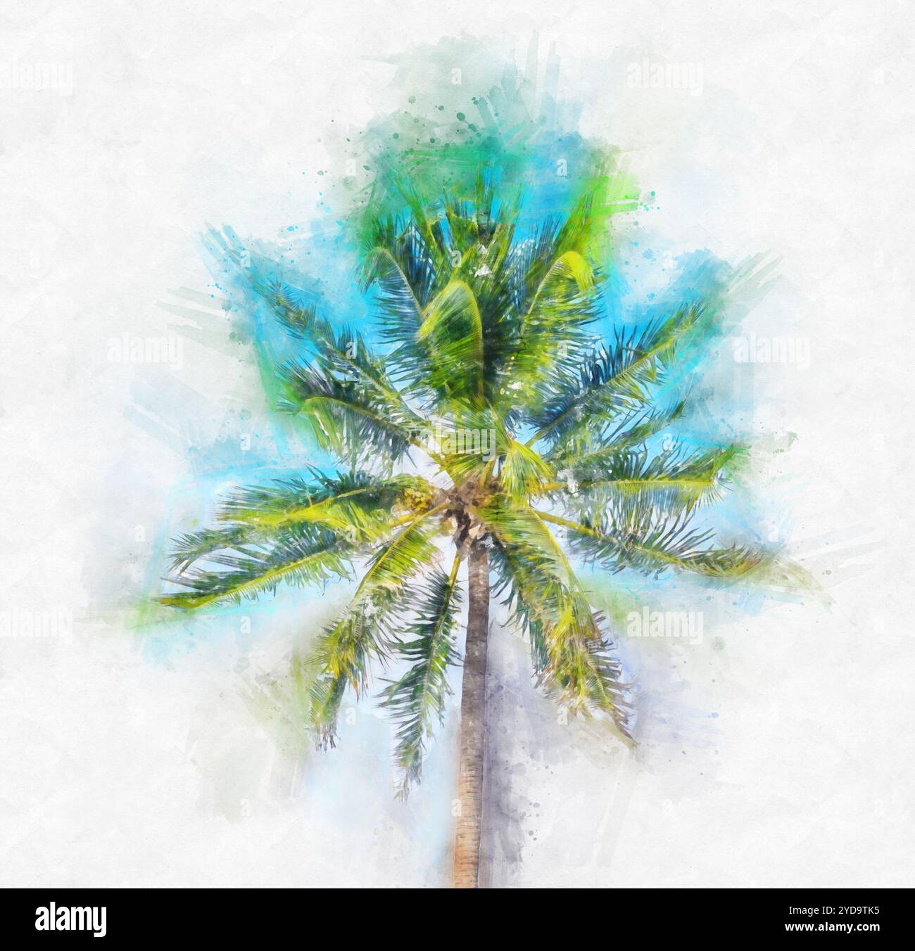 Illustrazione della pittura ad acquerello di Palm Tree su sfondo bianco Foto Stock