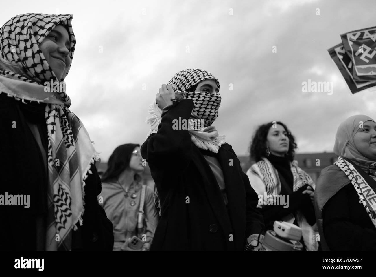 Diverse persone durante una manifestazione a sostegno della Palestina, nella Plaza Mayor di Madrid, il 25 ottobre 2024, Spagna. Foto Stock