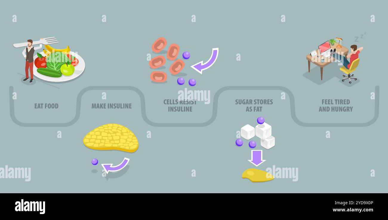 Illustrazione concettuale piatta isometrica 3D della resistenza all'insulina, sintomi della sindrome metabolica 3D Isometric Flat Conceptual i Foto Stock