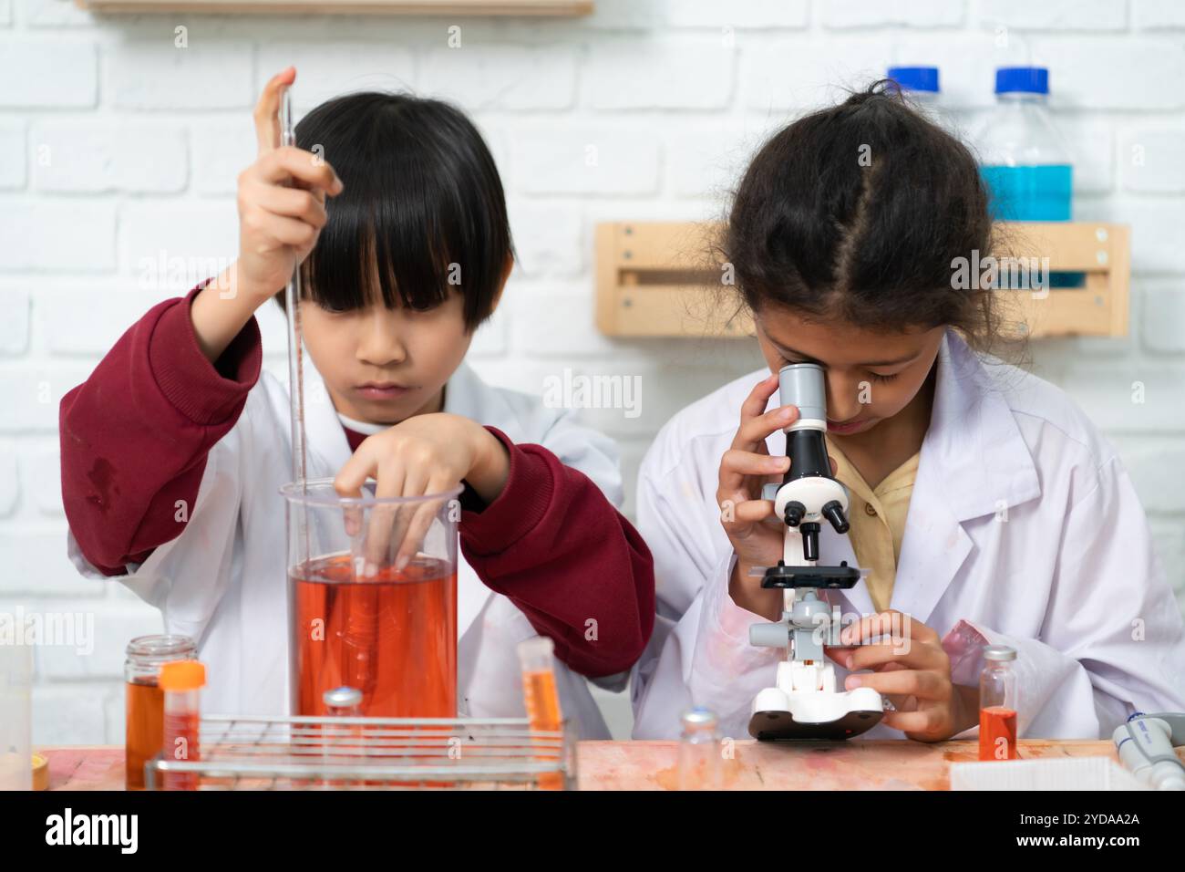 Bambino e ragazza in classe scientifica è la base per il processo di pensiero sistematico, ragionamento, osservazione, co dati Foto Stock