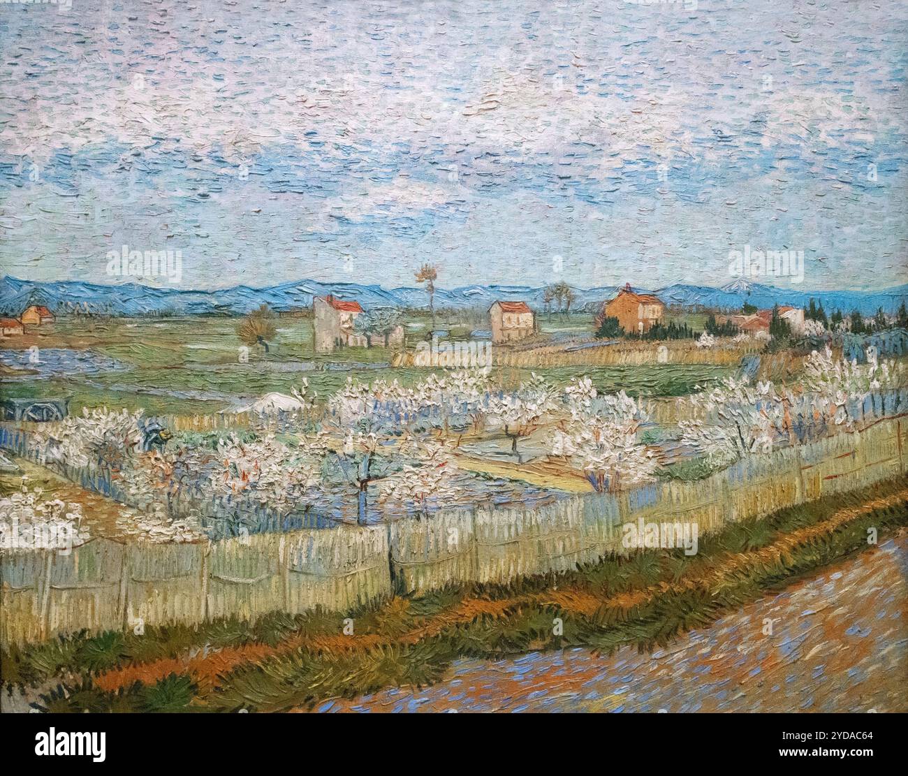 Pittura di Vincent Van Gogh; Peach Trees in Blossom. 1889. Van Gogh Landscape, Arles, Francia. Pittura post impressionista del XIX secolo. Foto Stock