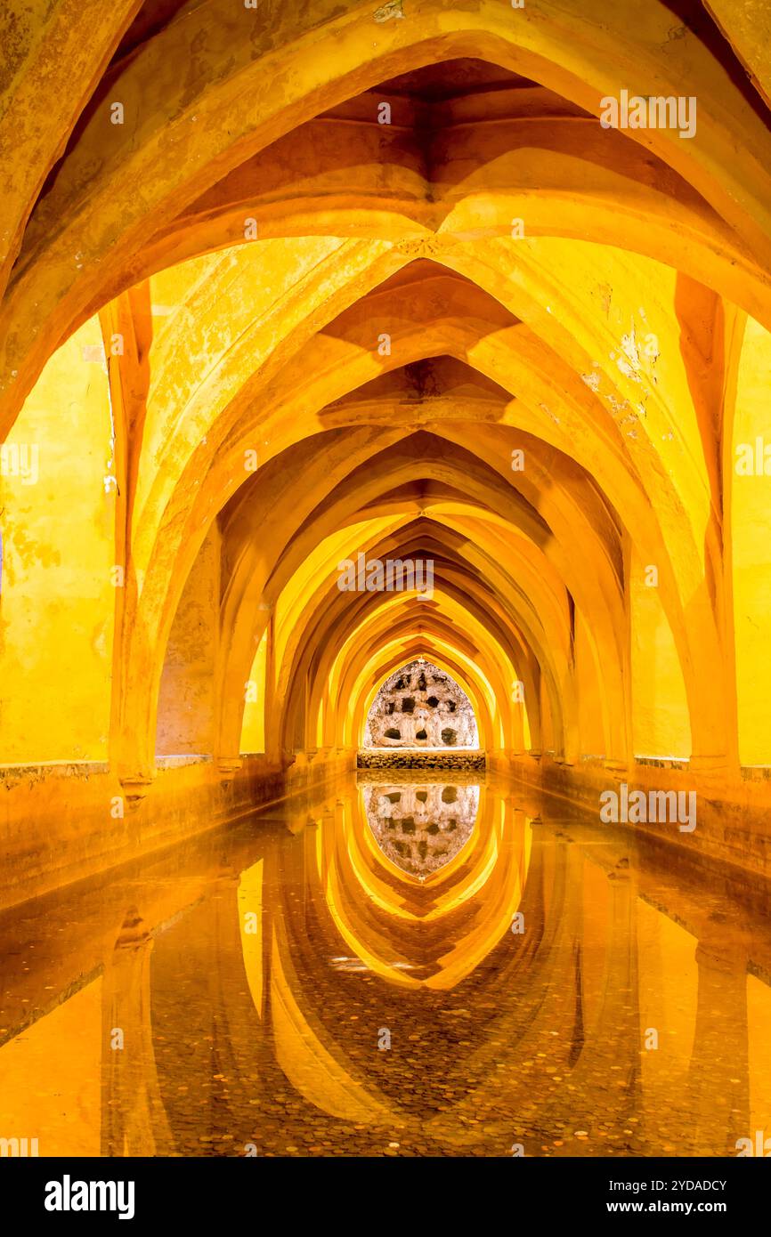Cisterna sotterranea nel Real Alcazar (Palazzo reale) del X secolo, sito patrimonio dell'umanità dell'UNESCO, Siviglia, Andalusia, Spagna. Foto Stock