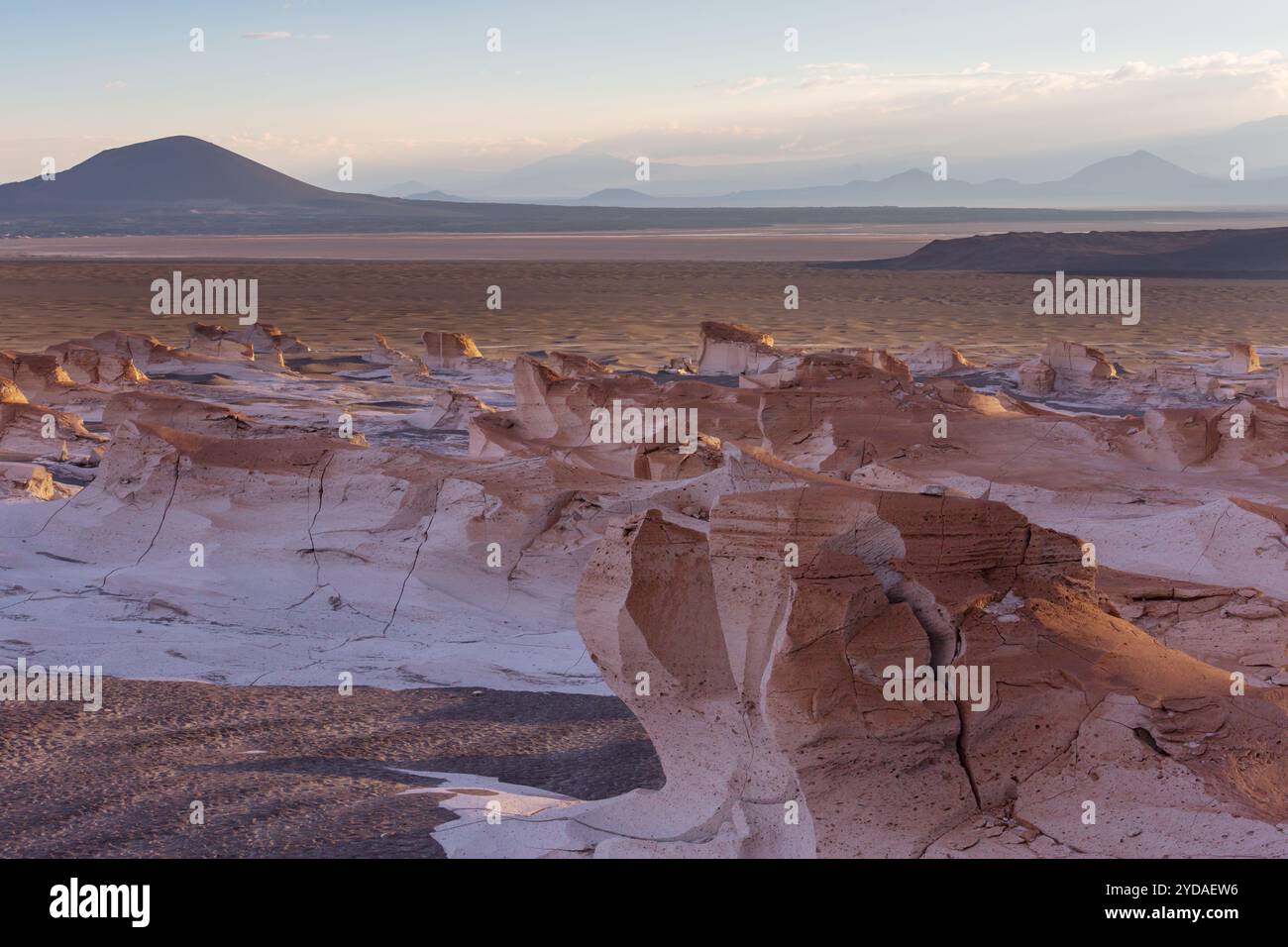 Fantastici paesaggi panoramici dell'Argentina settentrionale. Splendidi paesaggi naturali. Campo de Piedra Pomez vicino a Antofagasta de la Sierra, Puna. Foto Stock