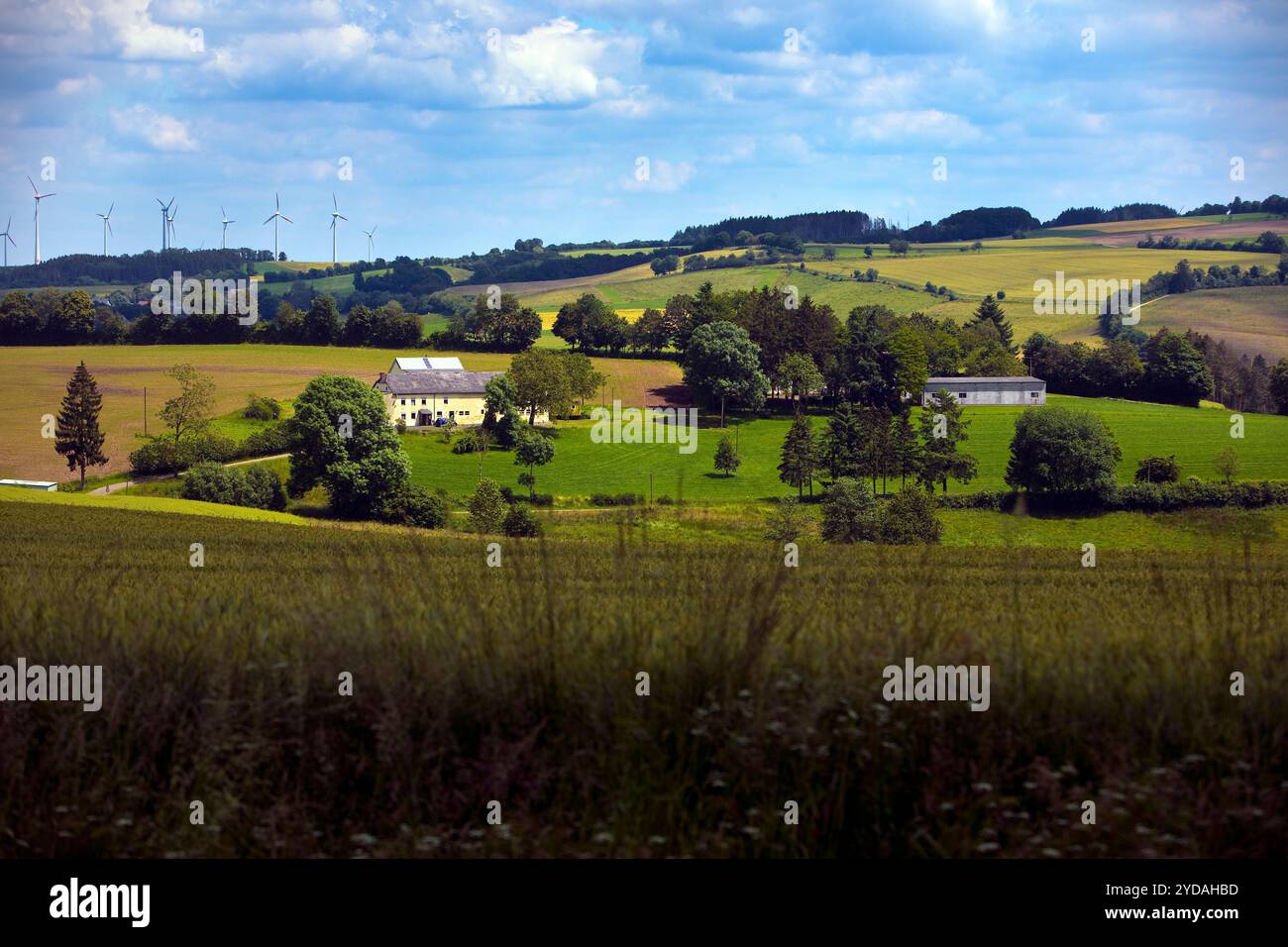 Vista panoramica del paesaggio culturale, comune di Jucken, Eifel, Oesling, Germania, Europa Foto Stock