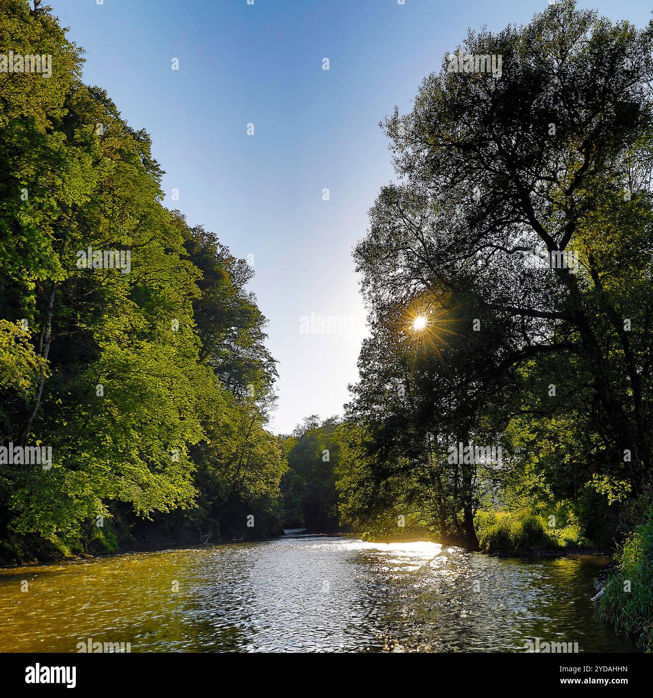 Il fiume Our, Gemuend an der Our, Oesling, Islek, Parco naturale Suedeifel, Germania, Europa Foto Stock