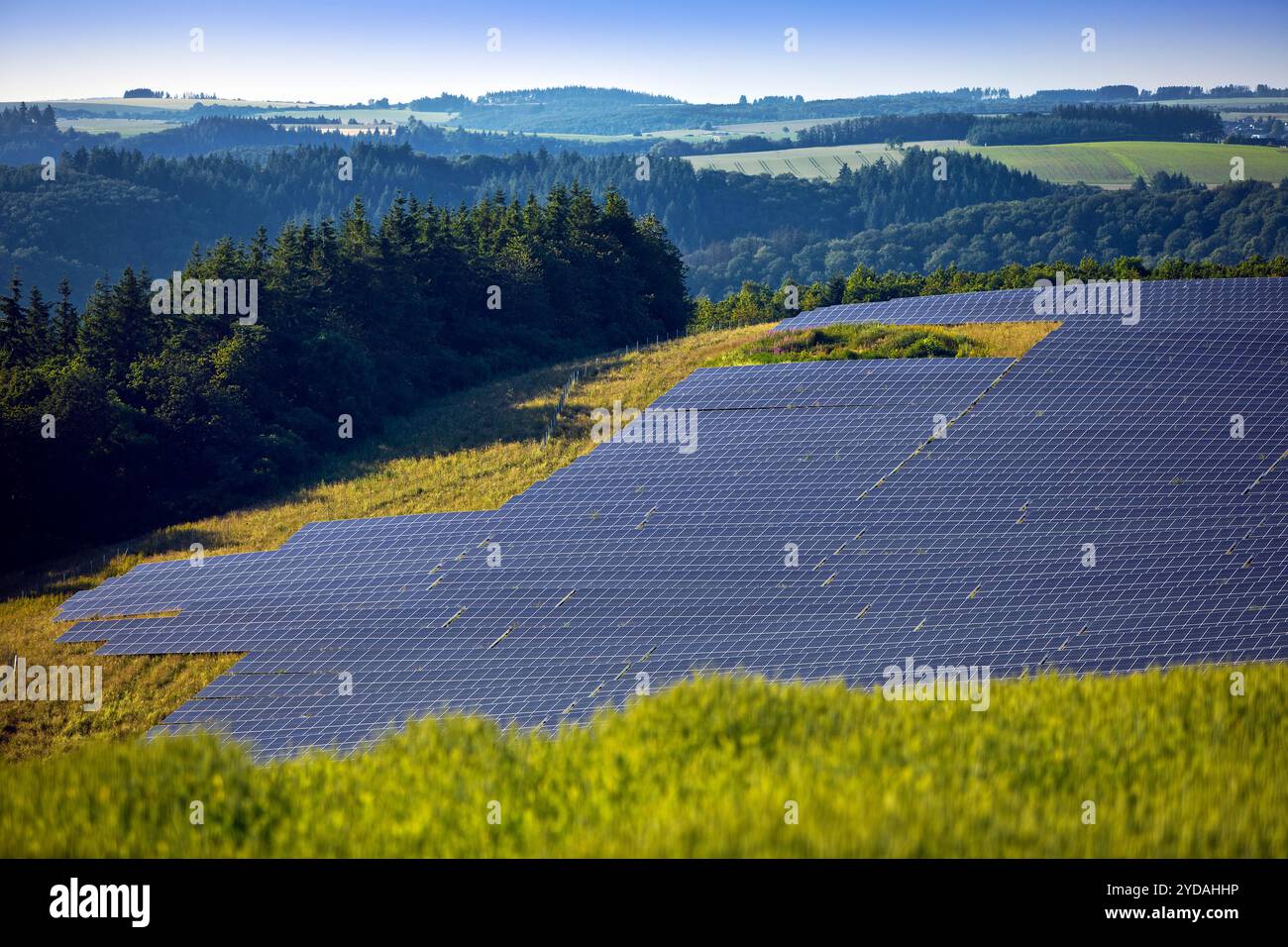 Impianto fotovoltaico open space nel Parco naturale Suedeifel, Renania-Palatinato, Germania, Europa Foto Stock