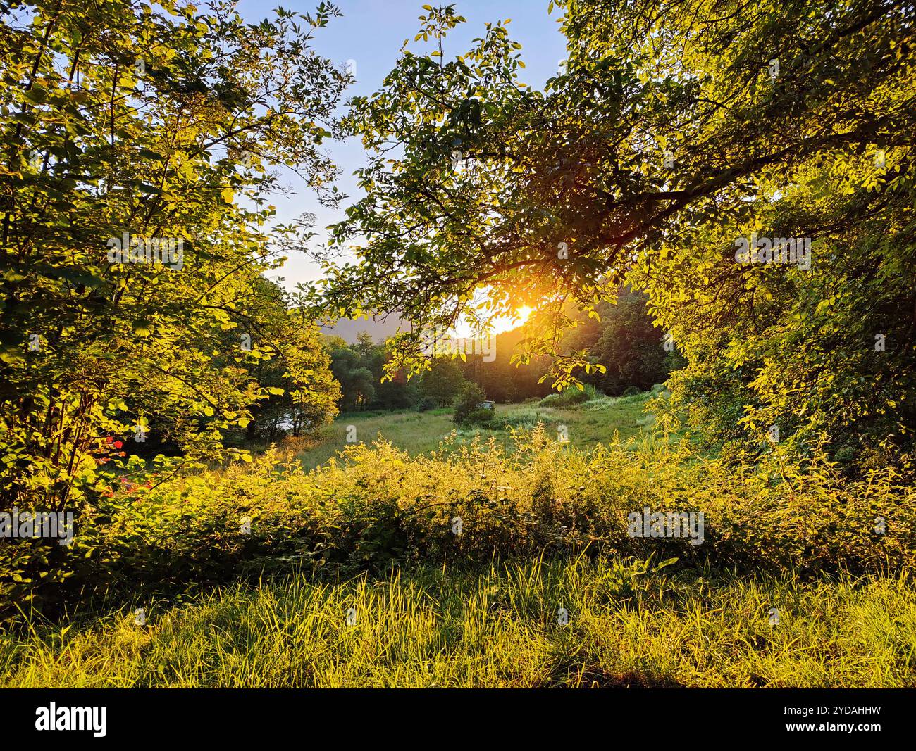 Tramonto suggestivo nella nostra valle, Gemuend an der Our, Parco naturale Suedeifel, Germania, Europa Foto Stock