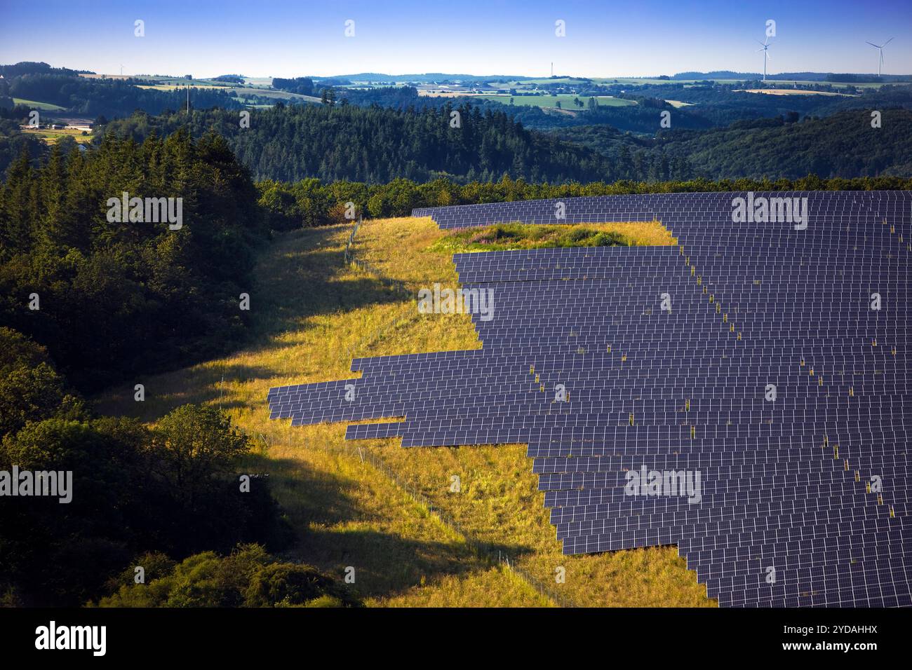 Impianto fotovoltaico open space nel Parco naturale Suedeifel, Renania-Palatinato, Germania, Europa Foto Stock