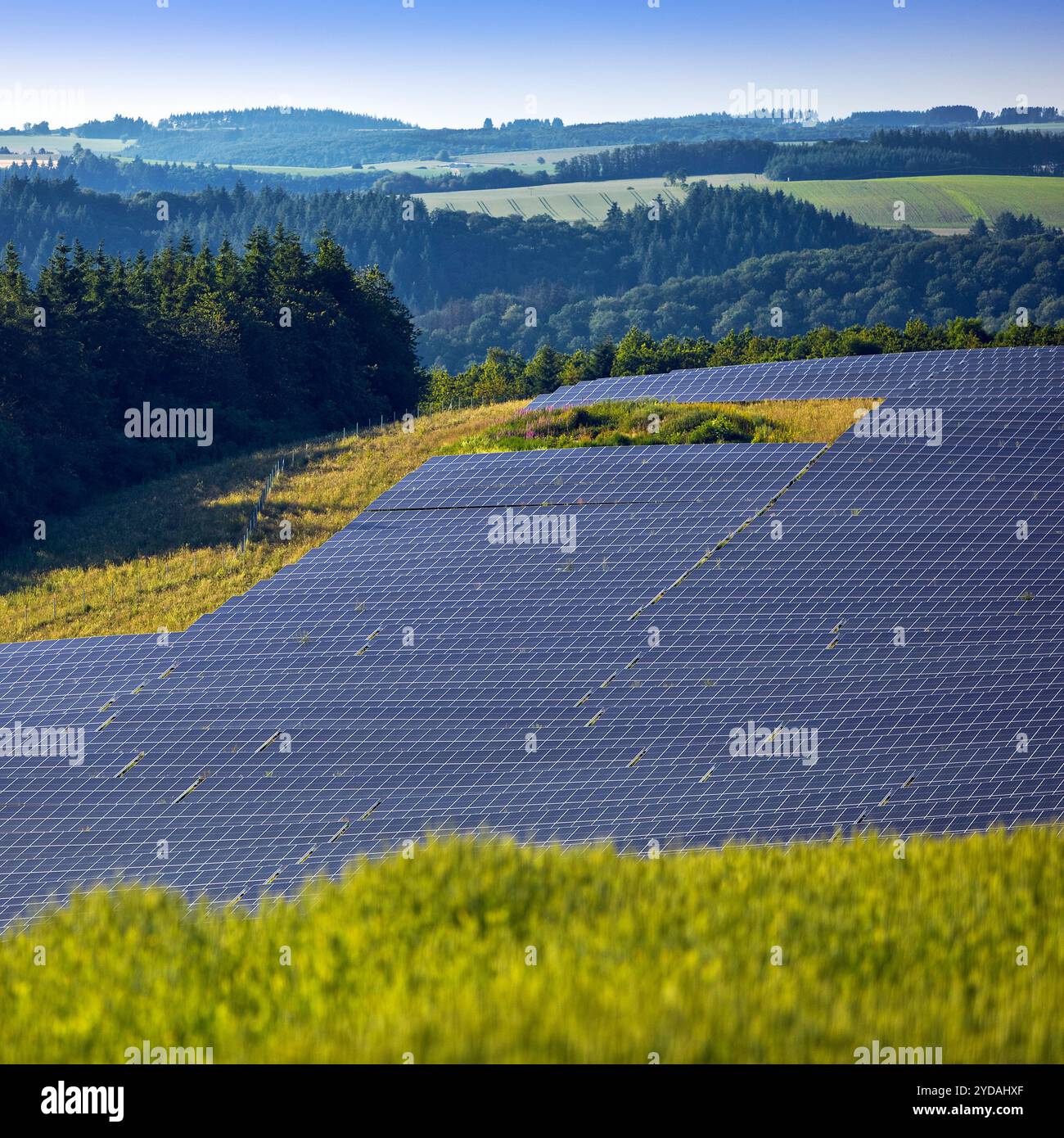 Impianto fotovoltaico open space nel Parco naturale Suedeifel, Renania-Palatinato, Germania, Europa Foto Stock