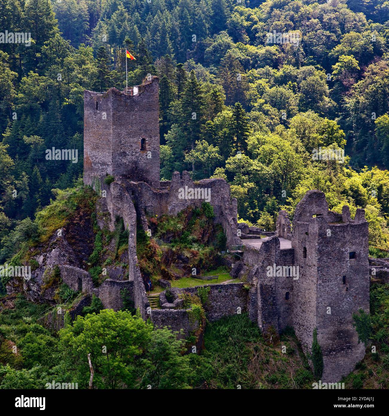 Le rovine del conte Niederburg Manderscheid, Eifel, Renania-Palatinato, Germania, Europa Foto Stock